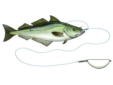 Jäämeririgi Halibut Anti Twist Rig 450 g, Glow, Westin