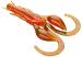 Rapujigi Angry Crayfish RACZEK Mikado 7 cm, 3 kpl, väri: 554