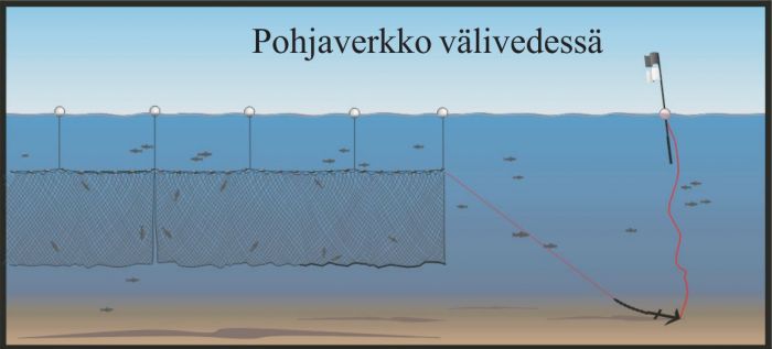 EPS-pallokoho 150 mm, tapsinarulla (2 m) ja karbiinihaalla